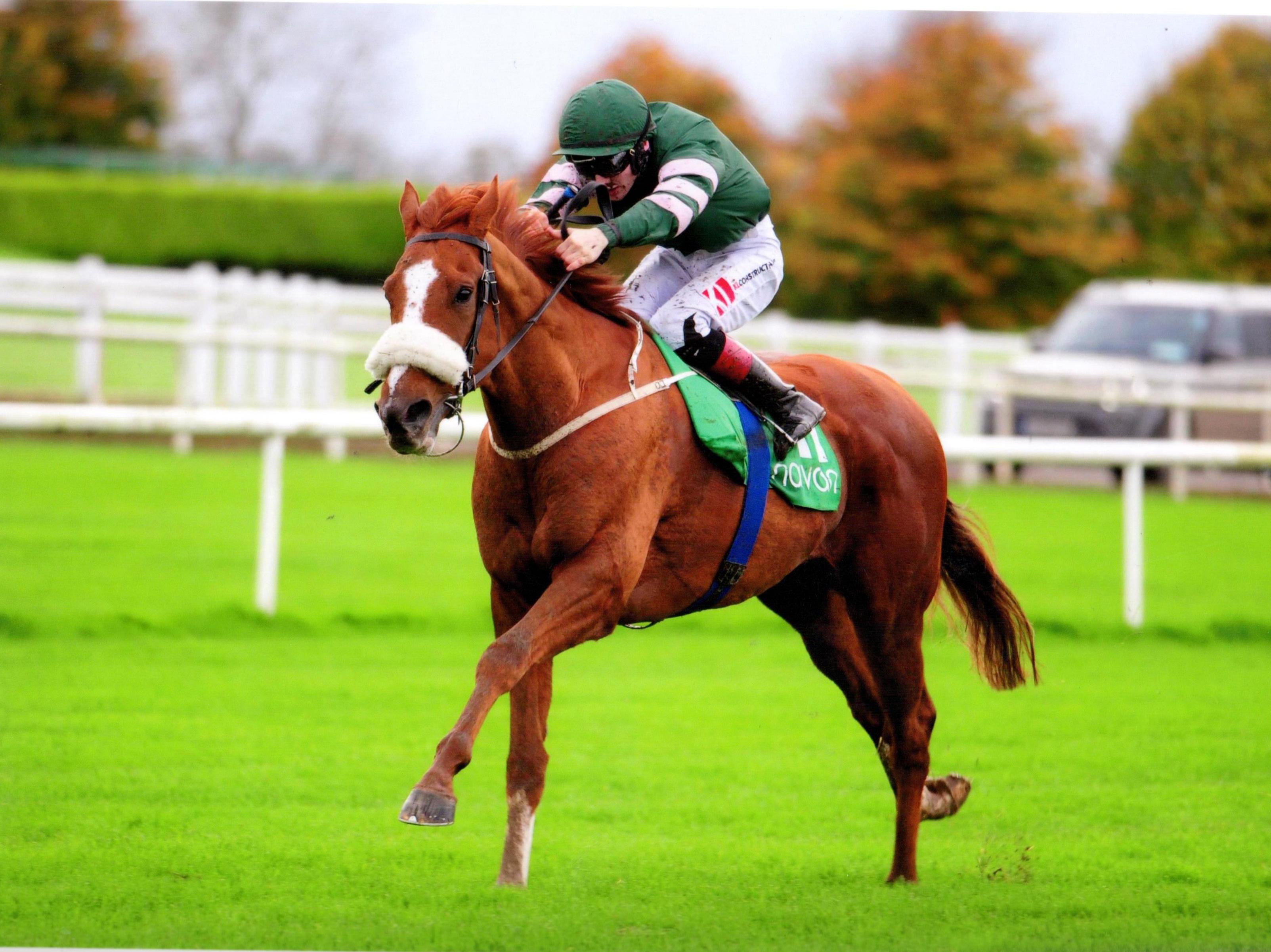 II Piccolo Grande gets off that mark in Navan 25th October 2017